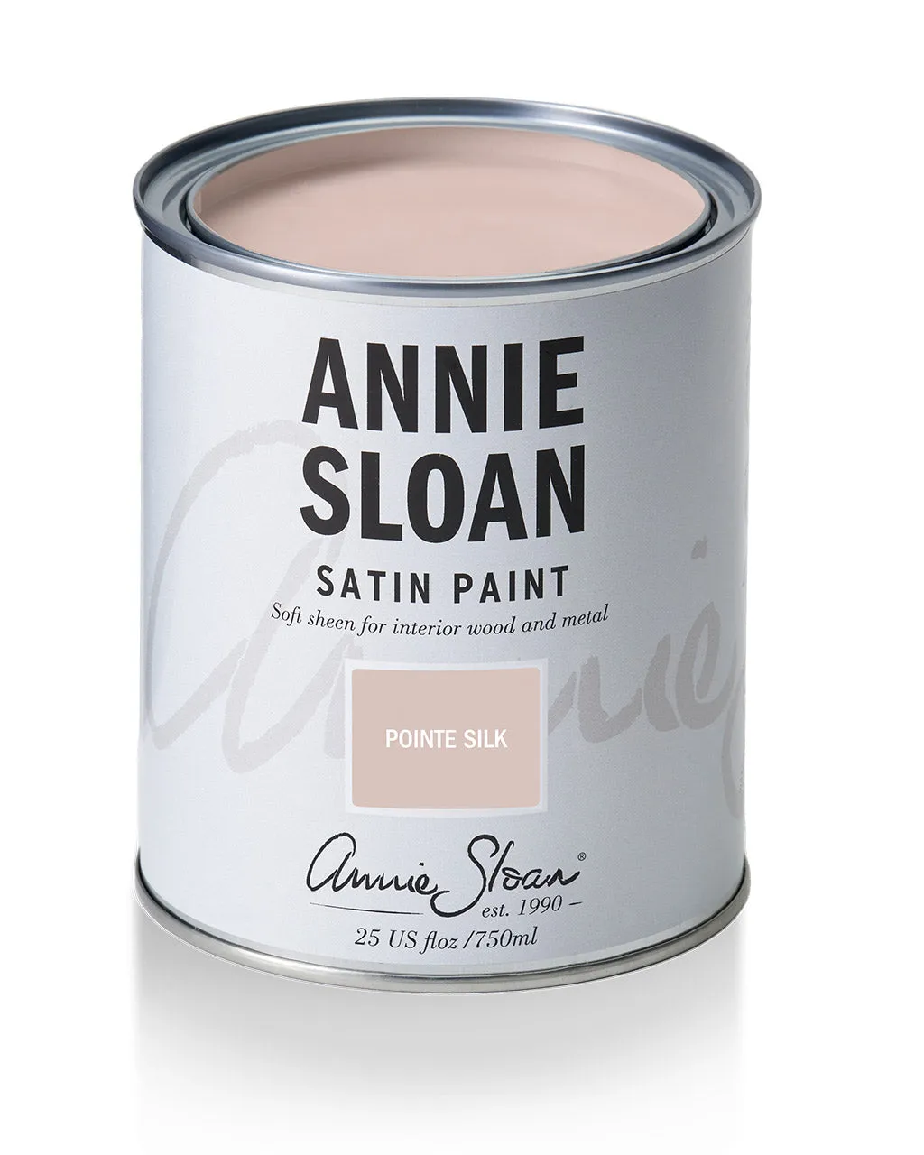 Pointe Silk Satin Paint